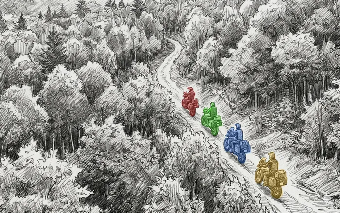 Group of adventure riders on a forest trail